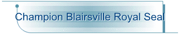 Champion Blairsville Royal Seal