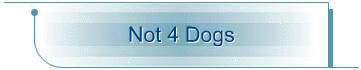 Not 4 Dogs