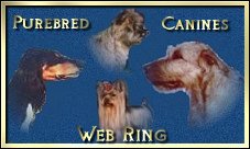 Purebred Canines